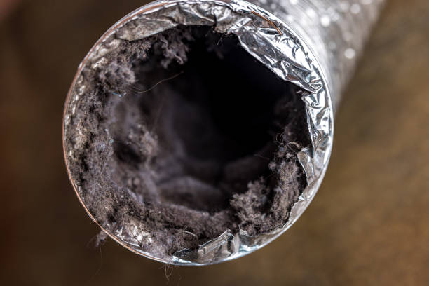 Best Air Duct Cleaning Near Me in WA
