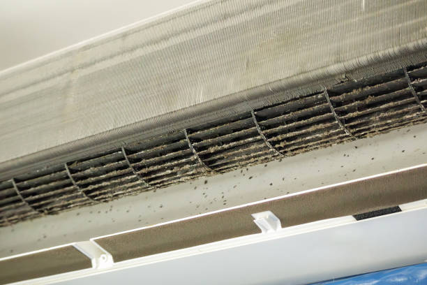 Best Air Duct Sanitizing Services  in Manchester, WA